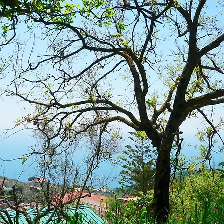 Silviu * Massa Lubrense